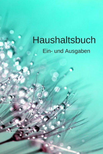 Haushaltsbuch: Einnahmen Und Ausgaben (German Edition)