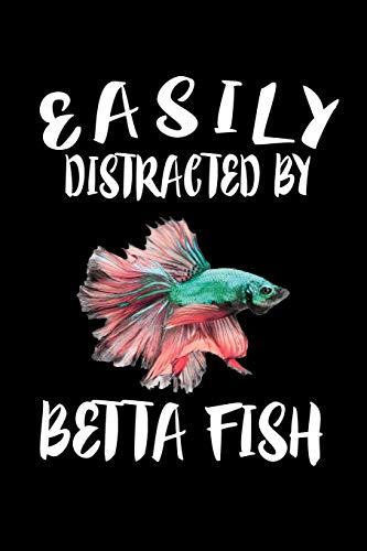 Easily Distracted By Betta Fish: Animal Nature Collection
