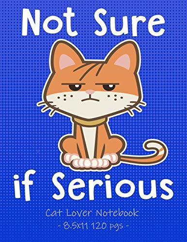Not Sure If Serious Cat Lover Notebook: School Supplies Gift For Girls Love Kittens - 8.5X11 (Cat & Kitten Lovers)
