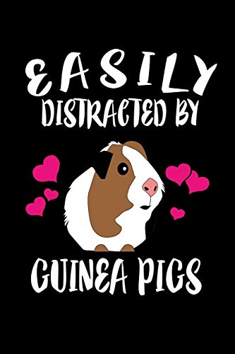 Easily Distracted By Guinea Pigs: Animal Nature Collection