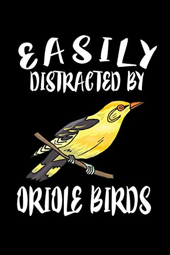 Easily Distracted By Oriole Birds: Animal Nature Collection
