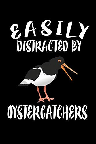 Easily Distracted By Oystercatchers: Animal Nature Collection