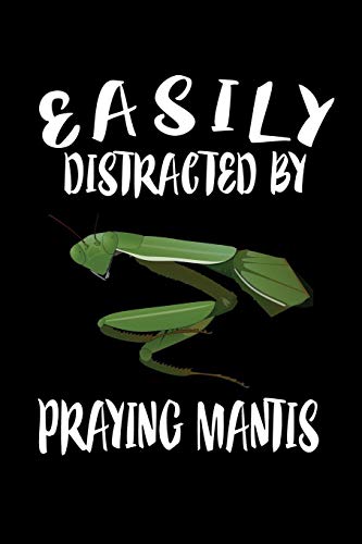 Easily Distracted By Praying Mantis: Animal Nature Collection