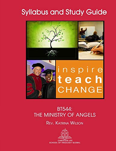 Bt544: The Ministry Of Angels