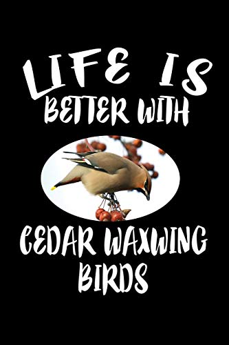 Life Is Better With Cedar Waxwing Birds: Animal Nature Collection
