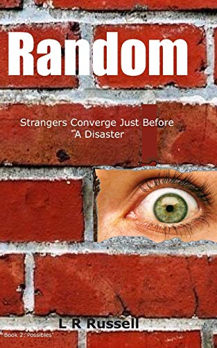 Random: Strangers Converge Just Before A Disaster (Possibles)