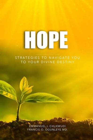 Hope: Strategies To Navigate You To Your Divine Destiny