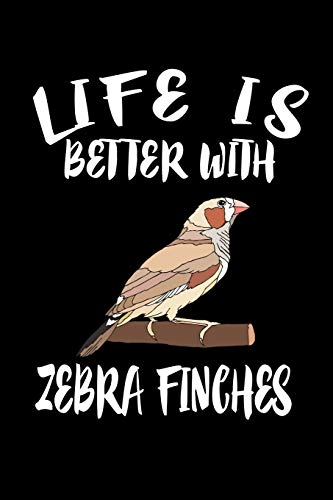 Life Is Better With Zebra Finch: Animal Nature Collection