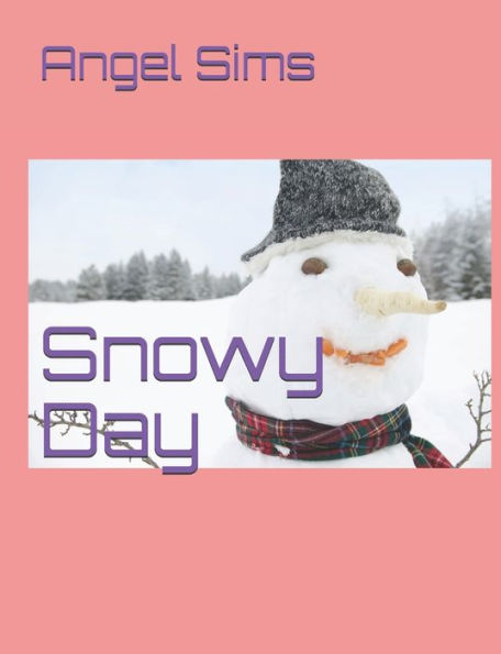 Snowy Day - 9781087480893
