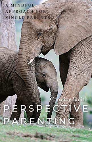Perspective Parenting: A Mindful Approach for Single Parents: A Mindful Approach for Single Parents