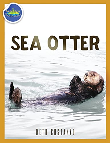 Sea Otter Ages 2-4