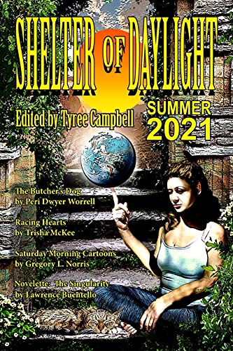 Shelter Of Daylight Summer 2021