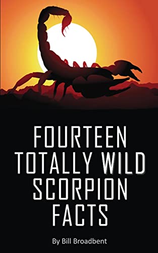 Fourteen Totally Wild Scorpion Facts: Fun, Educational And Full Of Color Pics And Graphics!