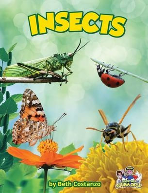 Insects - 9781088070260