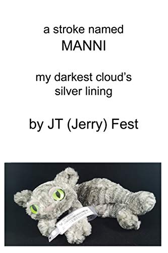 A Stroke Named Manni: My Darkest Clouds Silver Lining
