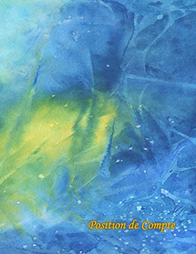 Position De Compte: Livre Comptable (French Edition)