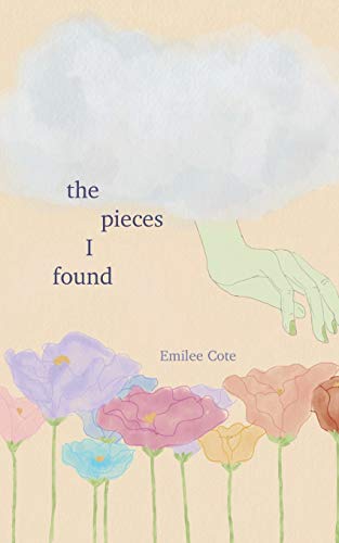 The Pieces I Found