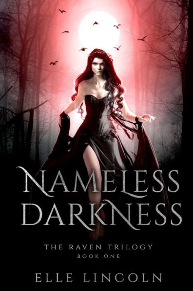 Nameless Darkness: A Reverse Harem Paranormal Romance (The Raven)