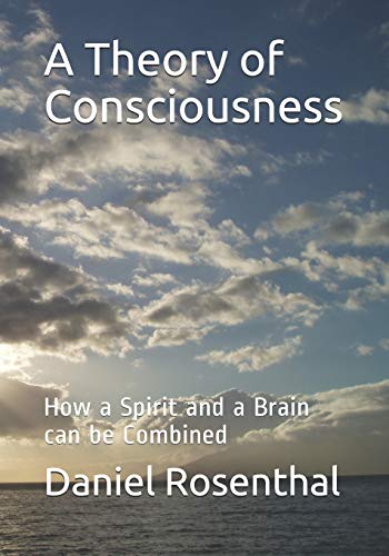 A Theory Of Consciousness: How A Spirit And A Brain Can Be Combined