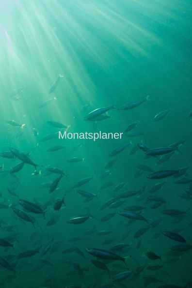 Monatsplaner (German Edition) - 9781089742944