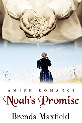 Noah's Promise (Hannah's Story)