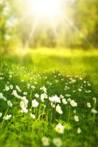 Spring: Spring Is One Of The Four Conventional Temperate Seasons, Following Winter And Preceding Summer. There Are Various Technical Definitions Of ... To Local Climate, Cultures And Customs.