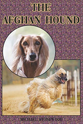 The Afghan Hound: A Complete And Comprehensive Beginners Guide To: Buying, Owning, Health, Grooming, Training, Obedience, Understanding And Caring For Your Afghan Hound