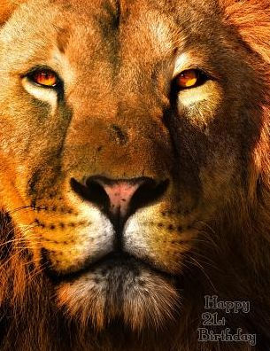 Happy 21st Birthday: Discreet Website Password Book with Beautiful Lion Design Makes the Perfect Birthday Gift! Way Better Than a Birthday Card!
