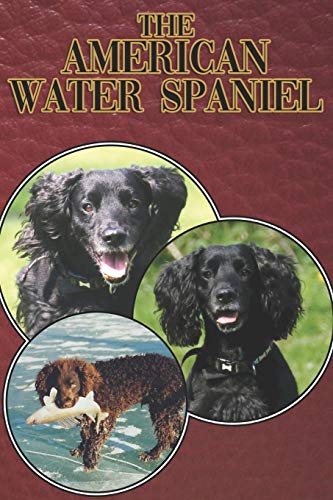 The American Water Spaniel: A Complete And Comprehensive Beginners Guide To: Buying, Owning, Health, Grooming, Training, Obedience, Understanding And Caring For Your American Water Spaniel