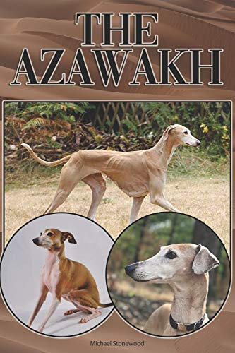 The Azawakh: A Complete And Comprehensive Beginners Guide To: Buying, Owning, Health, Grooming, Training, Obedience, Understanding And Caring For Your Azawakh