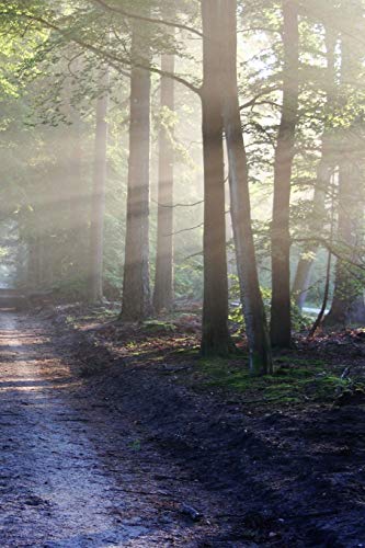 Sunlit Road: A Dirt Road Or Track Is A Type Of Unpaved Road Made From The Native Material Of The Land Surface Through Which It Passes, Known To Highway Engineers As Subgrade Material.