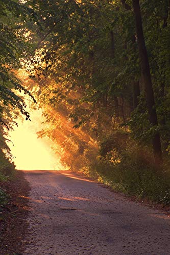 Sunlight Down The Road: A Dirt Road Or Track Is A Type Of Unpaved Road Made From The Native Material Of The Land Surface Through Which It Passes, Known To Highway Engineers As Subgrade Material.