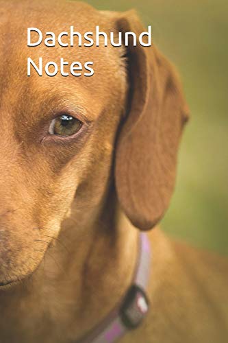 Dachshund Notes