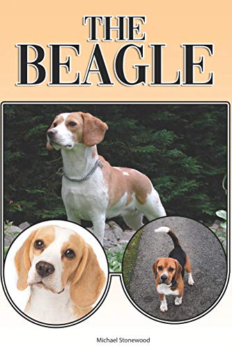 The Beagle: A Complete And Comprehensive Beginners Guide To: Buying, Owning, Health, Grooming, Training, Obedience, Understanding And Caring For Your Beagle