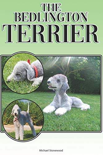 The Bedlington Terrier: A Complete And Comprehensive Beginners Guide To: Buying, Owning, Health, Grooming, Training, Obedience, Understanding And Caring For Your Bedlington Terrier