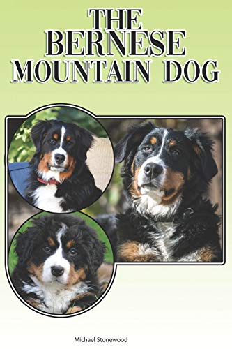 The Bernese Mountain Dog: A Complete And Comprehensive Beginners Guide To: Buying, Owning, Health, Grooming, Training, Obedience, Understanding And Caring For Your Bernese Mountain Dog