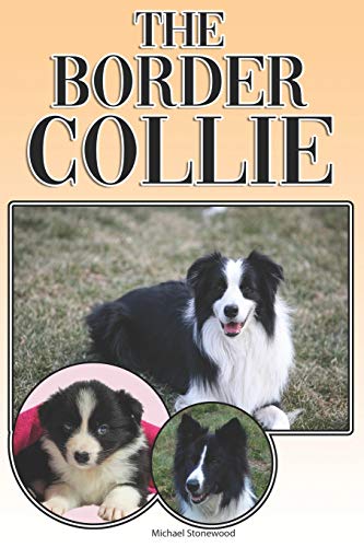 The Border Collie: A Complete And Comprehensive Owners Guide To: Buying, Owning, Health, Grooming, Training, Obedience, Understanding And Caring For Your Border Collie