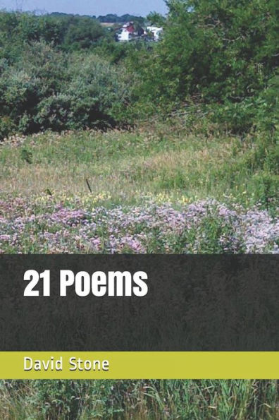 21 Poems - 9781091364448