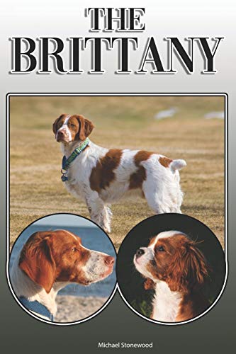 The Brittany: A Complete And Comprehensive Owners Guide To: Buying, Owning, Health, Grooming, Training, Obedience, Understanding And Caring For Your Brittany