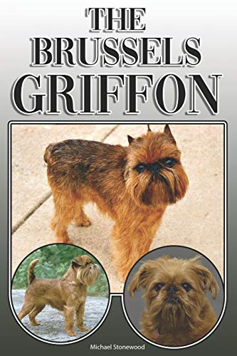 The Brussels Griffon: A Complete And Comprehensive Owners Guide To: Buying, Owning, Health, Grooming, Training, Obedience, Understanding And Caring For Your Brussels Griffon