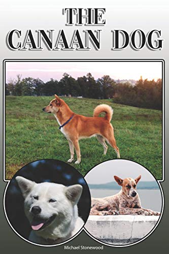 The Canaan Dog: A Complete And Comprehensive Owners Guide To: Buying, Owning, Health, Grooming, Training, Obedience, Understanding And Caring For Your Canaan Dog