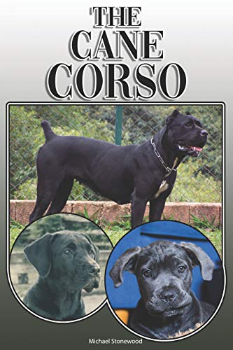 The Cane Corso: A Complete And Comprehensive Owners Guide To: Buying, Owning, Health, Grooming, Training, Obedience, Understanding And Caring For Your Cane Corso