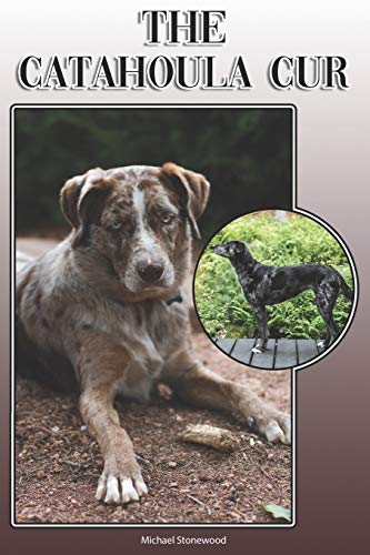 The Catahoula Cur: A Complete And Comprehensive Owners Guide To: Buying, Owning, Health, Grooming, Training, Obedience, Understanding And Caring For Your Catahoula Cur