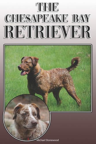 The Chesapeake Bay Retriever: A Complete And Comprehensive Owners Guide To: Buying, Owning, Health, Grooming, Training, Obedience, Understanding And Caring For Your Chesapeake Bay Retriever