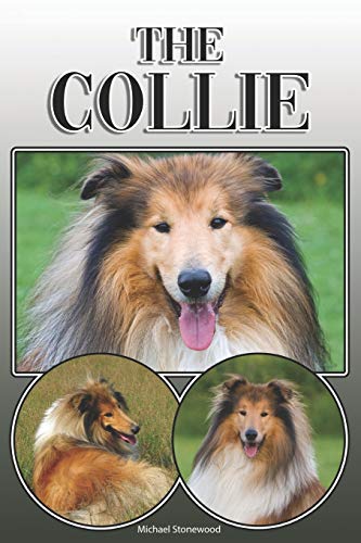 The Collie: A Complete And Comprehensive Owners Guide To: Buying, Owning, Health, Grooming, Training, Obedience, Understanding And Caring For Your Collie