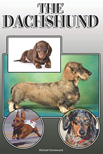 The Dachshund: A Complete And Comprehensive Owners Guide To: Buying, Owning, Health, Grooming, Training, Obedience, Understanding And Caring For Your Dachshund