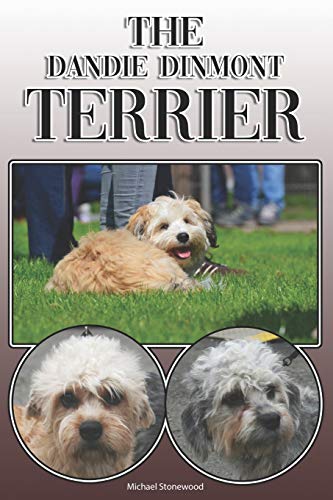 The Dandie Dinmont Terrier: A Complete And Comprehensive Owners Guide To: Buying, Owning, Health, Grooming, Training, Obedience, Understanding And Caring For Your Dandie Dinmont Terrier