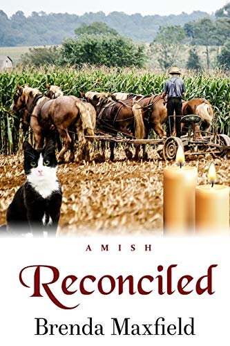 Reconciled (Hannah's Story)