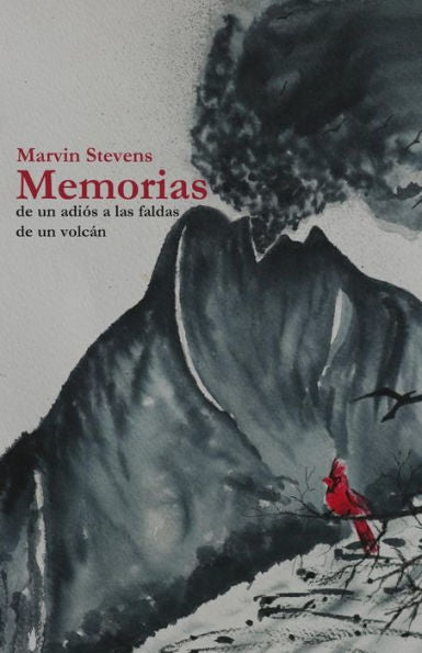 Memorias: De un adi?s a las faldas de un volcßn (Spanish Edition)