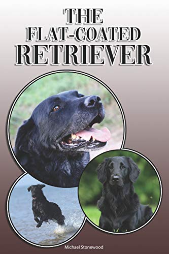 The Flat-Coated Retriever: A Complete And Comprehensive Owners Guide To: Buying, Owning, Health, Grooming, Training, Obedience, Understanding And Caring For Your Flat-Coated Retriever